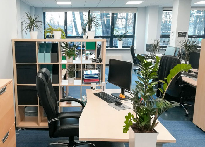 Poland office, potted plants on desks