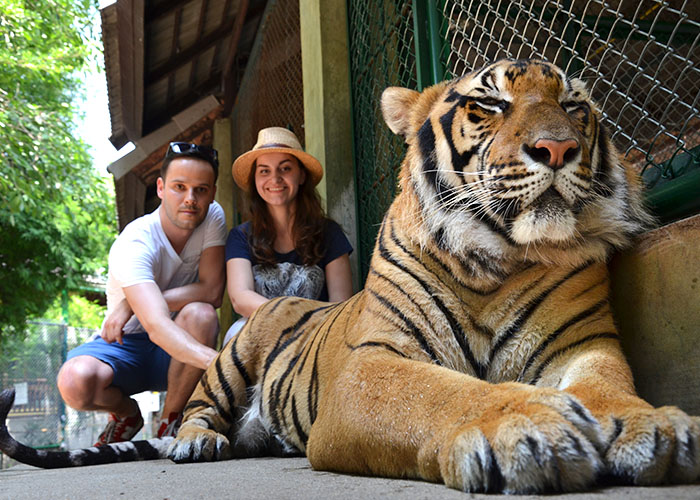 Poland team in Thailand Peter Olena and tiger